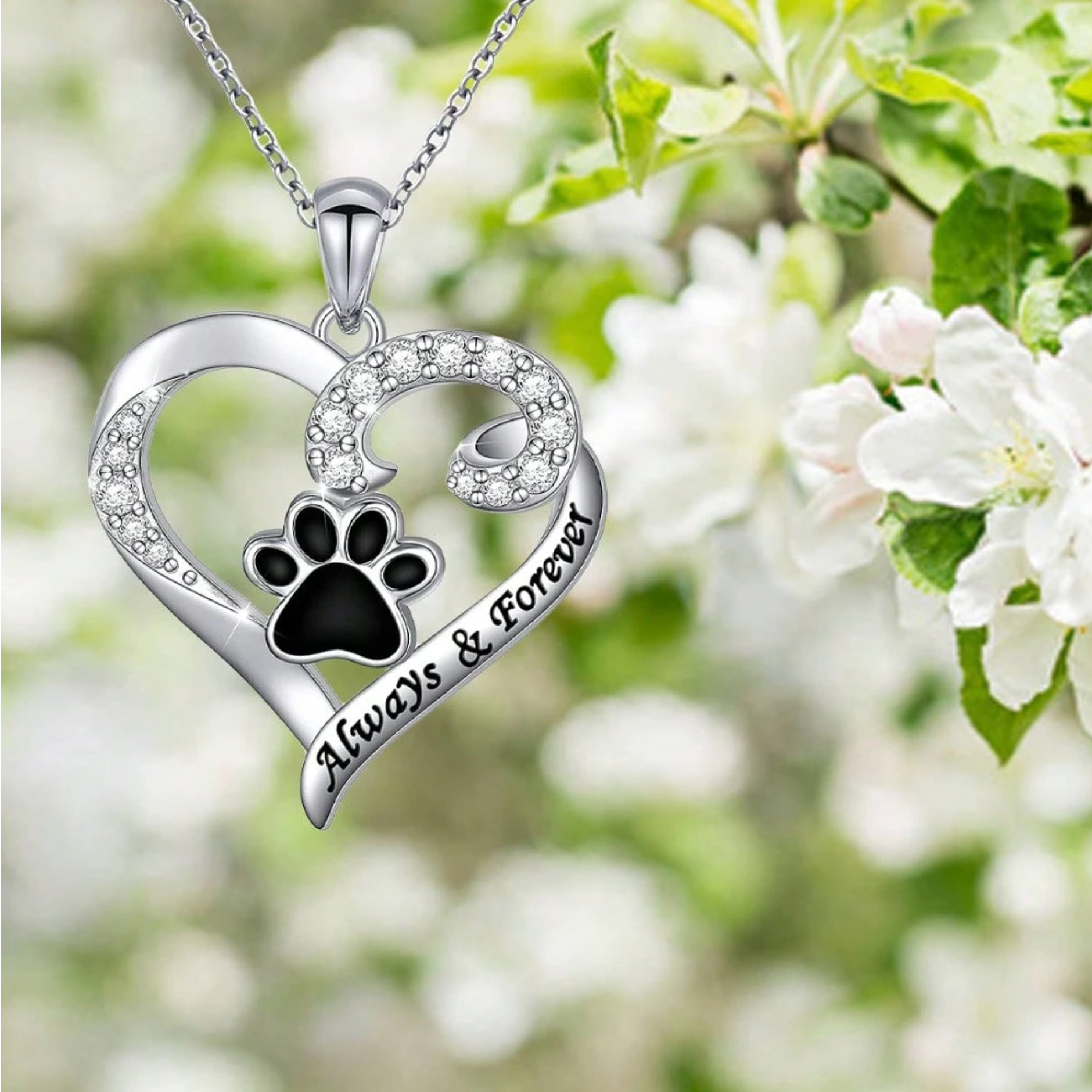Collier Patte de Chien – Design en Cœur en Acier Inoxydable avec Zirconia